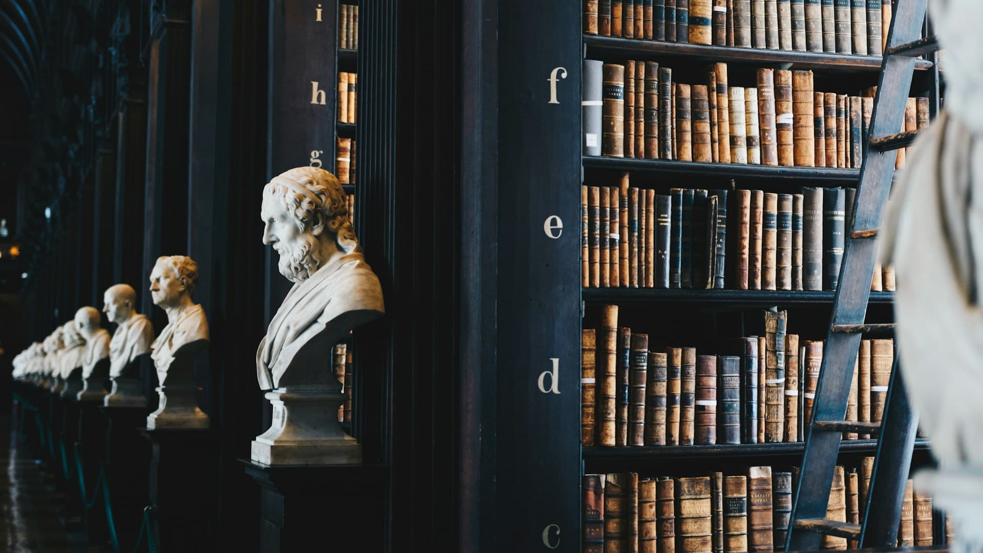 Anderson & Associates legal team in the firm library